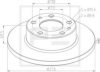 PE Automotive 026.670-10A Brake Disc